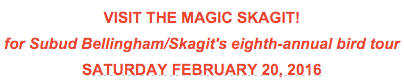 Visit The Maginc Skagit