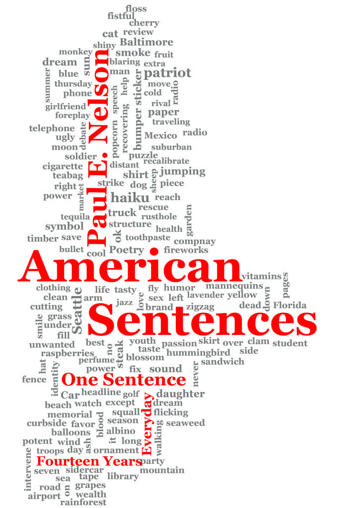 DraftCoverAmericanSentences1